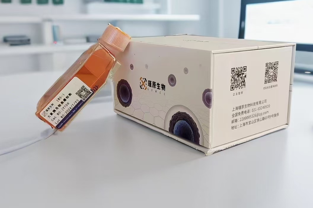 人乳腺导管癌细胞HCC1599